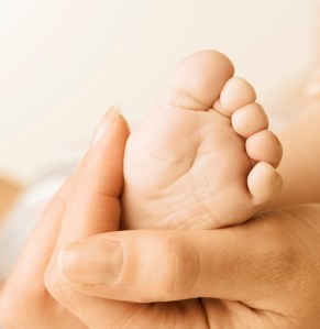 baby's foot